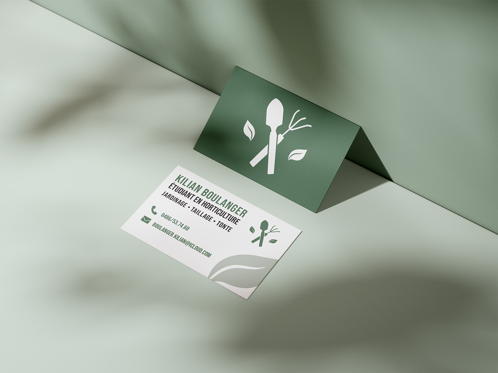 Cartes de visite